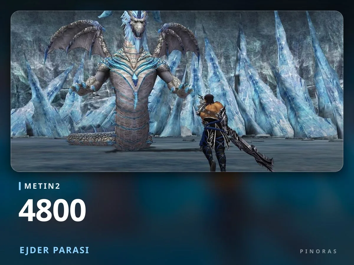 Metin2 4800 Ejder Parası - Pinoras