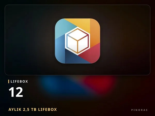 12-Month 2,5 TB Lifebox
