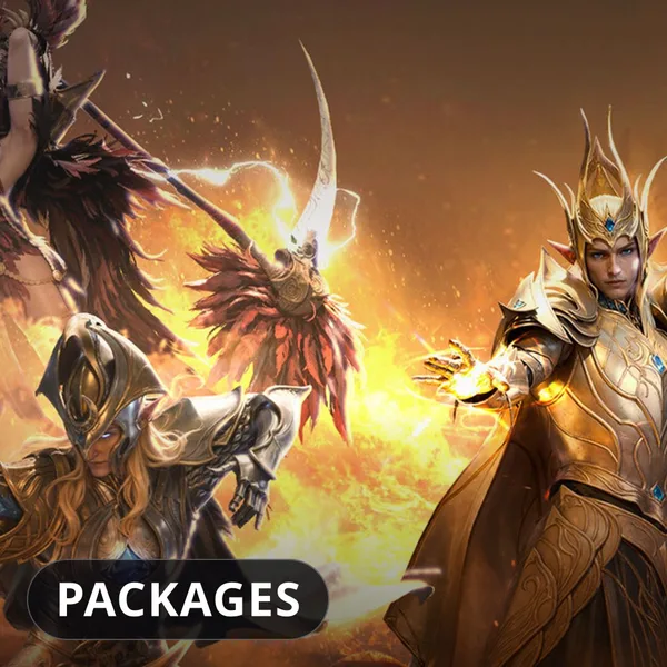 Dragonheir: Silent Gods Packages