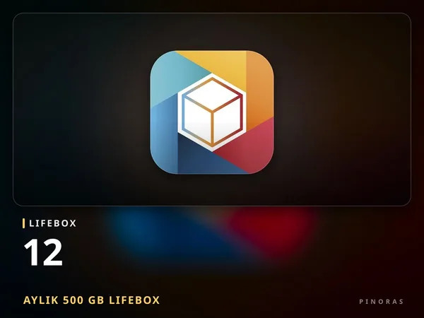 12-Month 500 GB Lifebox