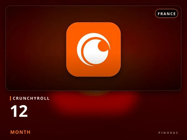 Crunchyroll France - 12 Month